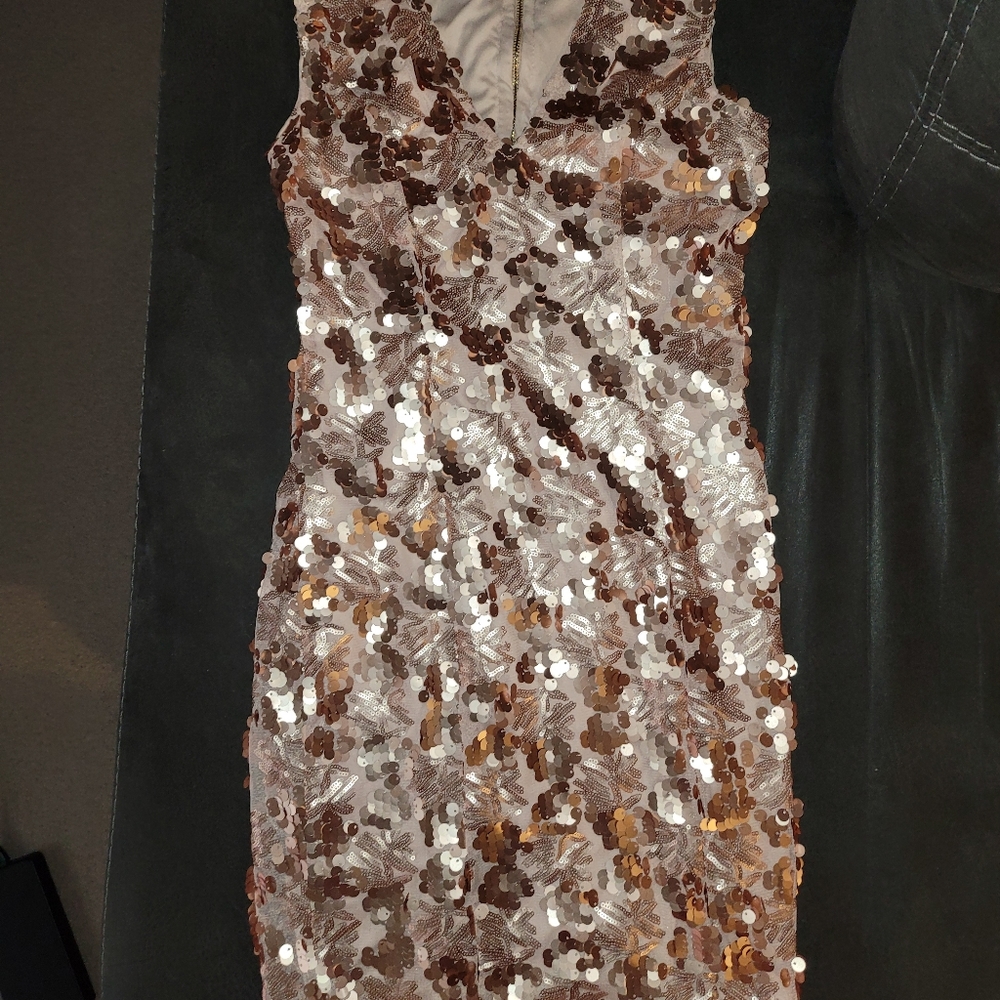 Miss Avenue Sequin Dress, Medium